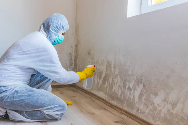 Licensed Mold Testing service in Manchester, VA - WQB Mold Removal