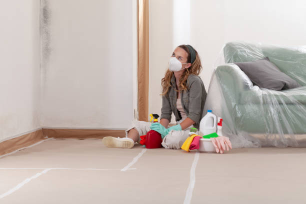 Reliable Mold Testing contractor in Manchester, VA by WQB Mold Removal