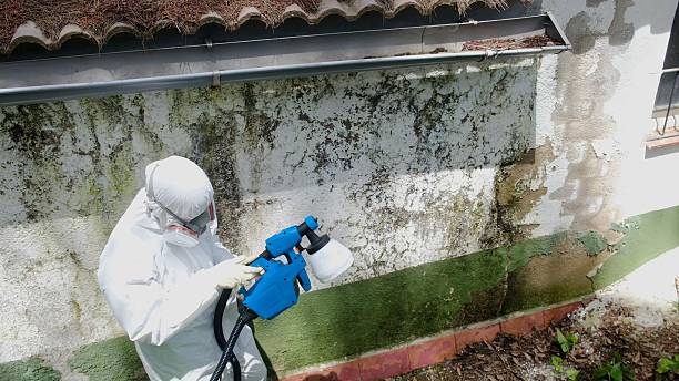 Top rated local Mold Testing specialists in Manchester, VA
